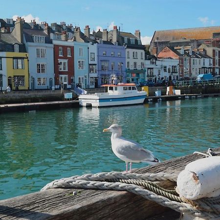 Wyke Regis Littlesea Haven Jurrasic-Views酒店 外观 照片
